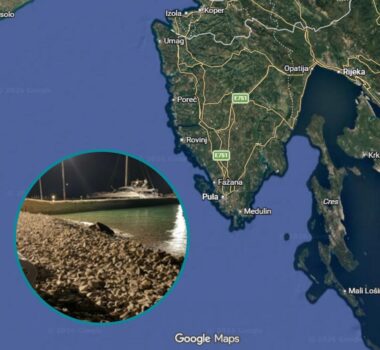 Sea turtle non-nesting emergence